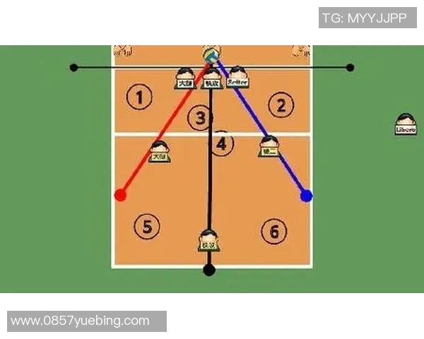 重庆排球队的战术掌控与发展趋势深度分析 重庆排球队的战术掌控与发展趋势深度分析