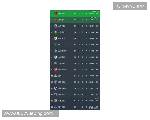 杭州足球队在联合会杯积分榜上以51分稳居第一名展现强劲实力 杭州足球队在联合会杯积分榜上以51分稳居第一名展现强劲实力