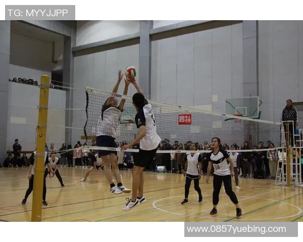 南京排球队最新排球配合技巧TOP10引领潮流助力比赛胜利