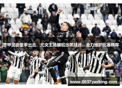 意甲足协重拳出击，尤文主场禁啦涉黑球迷，全力维护比赛秩序
